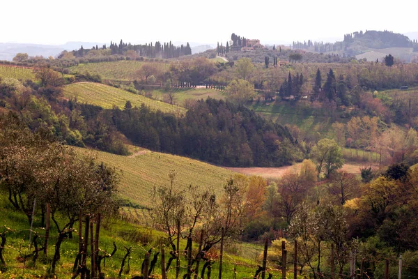 Typisch Toscaanse Landschap Een Weergave Van Een Villa Een Heuvel — Stockfoto