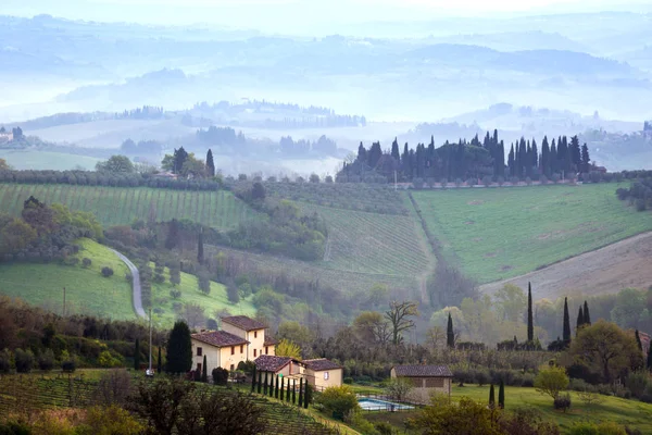 Typical Tuscan Landscape View Villa Hill Cypress Alley Valley Vineyards — Stock Photo, Image