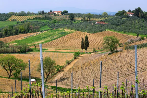 Paisagem Típica Toscana Uma Vista Uma Vila Uma Colina Beco — Fotografia de Stock