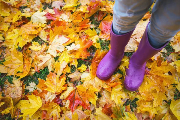 Herbststimmung Füße Gummistiefeln Vor Dem Hintergrund Bunter Ahornblätter Einer Pfütze — Stockfoto