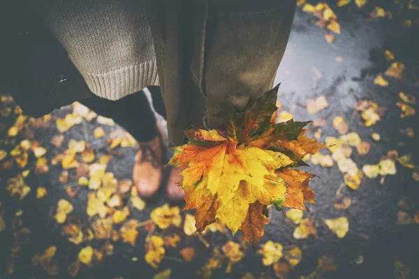 Herbststimmung Teenie Mädchen Hält Rotes Ahornblatt Der Hand — Stockfoto