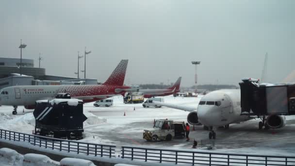 Moscow Russia 2018 Február Hófúvók Buldózerek Osztályozók Egyéb Gépek Repülőtér — Stock videók