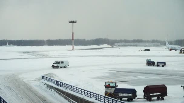 Moscow Russia February 2018 Vnukovo Havalimanı Ndaki Şiddetli Kar Yağışı — Stok video