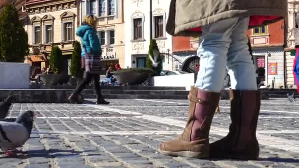 Brasov Románia November 2017 Gyermek Galambok Etetése Román Város Főterén — Stock videók