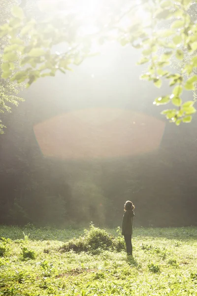 Zauberwald Mädchen Und Die Sonnenstrahlen Den Morgenstunden — Stockfoto