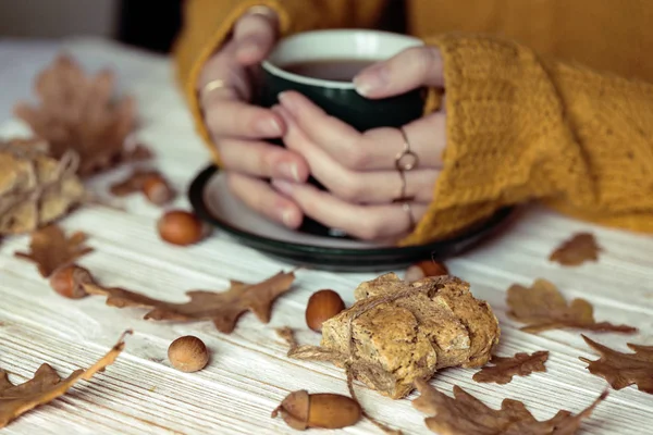 Beau Fond Automne Tasse Thé Aux Mains Fille Biscotti Feuilles — Photo