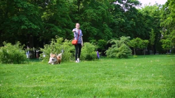 Meisje Speelt Met Hond Het Park — Stockvideo