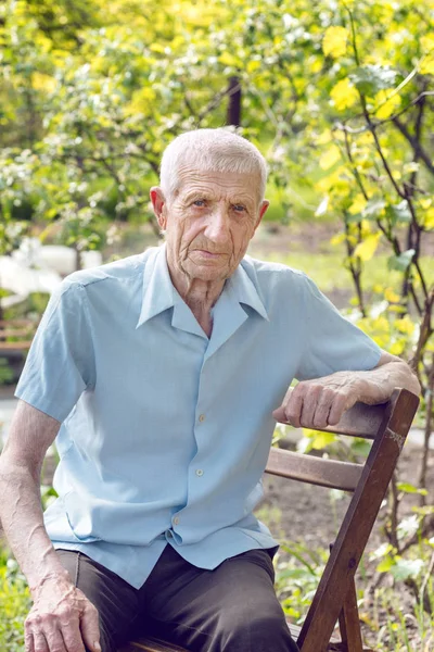 Retrato Homem Sênior Senta Jardim Olha Para Câmara — Fotografia de Stock