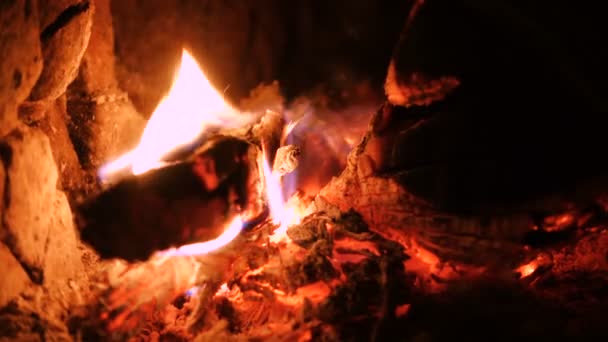 Quemando Troncos Chimenea Cerca — Vídeos de Stock