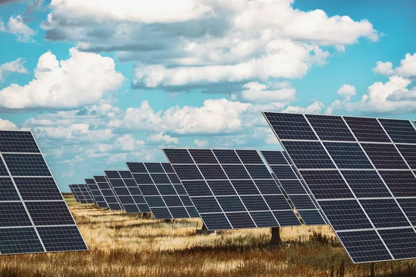 Plantas Energía Solar Paneles Solares Fondo Del Cielo Energ Alternativo — Foto de Stock