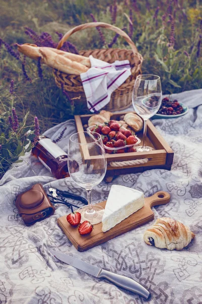 Estate Picnic Nel Prato Brie Formaggio Baguette Fragole Ciliegie Vino — Foto Stock