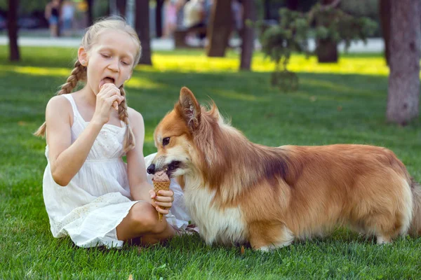 美しい楽しいブロンド少女とコーギーふかふかの芝生の上に座る氷クレアを食べる — ストック写真