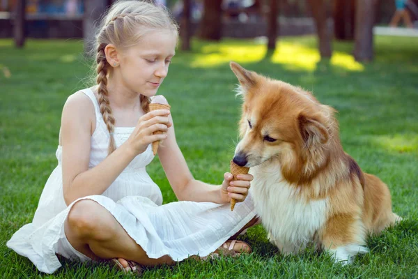 Mooie Leuke Blond Meisje Corgi Pluizig Zitten Het Gazon Eten — Stockfoto