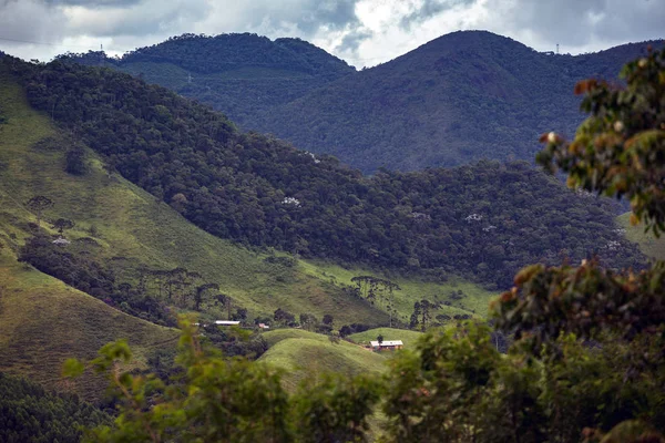 Jungle Paysage Tropical Brésilien Brazi — Photo