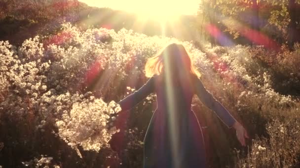 女孩在秋天的田野里穿过飘飘欲仙的花朵跑着 — 图库视频影像
