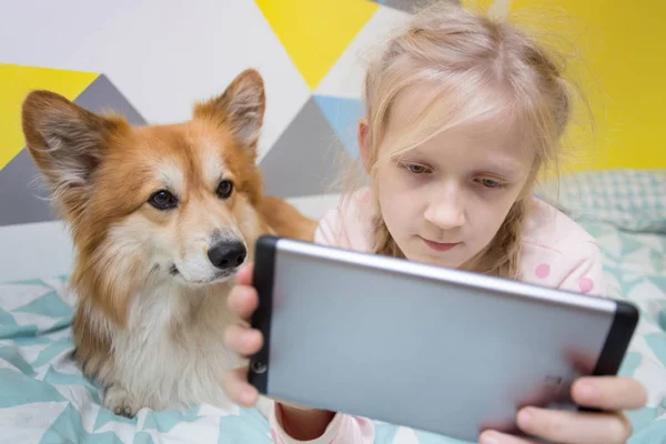 Lustiges Mädchen Und Hundecorgi Auf Dem Bett Kinderzimmer Spielen Auf — Stockfoto