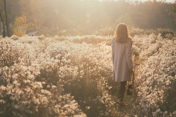 ヴィンテージ秋 ヴィンテージカメラを持った女の子が太陽の下でふわふわのタンポポの畑を歩いています — ストック写真
