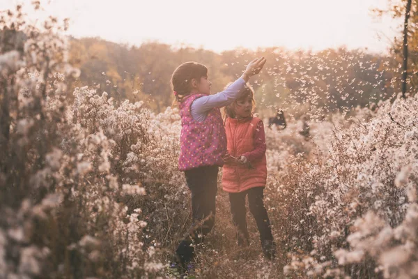 Glückliche Schwestermädchen Spazieren Bei Sonnenaufgang Durch Die Felder Mit Flauschigem — Stockfoto