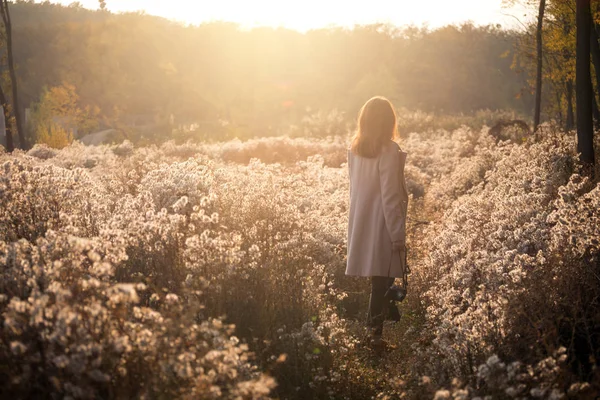 vintage autumn. girl with a vintage camera walks in the fields of fluffy dandelions at sunse