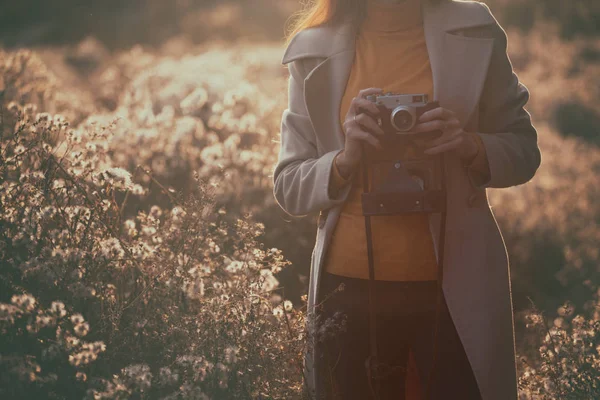 Årgång Höst Flicka Med Vintage Kamera Promenader Fälten Fluffiga Maskrosor — Stockfoto