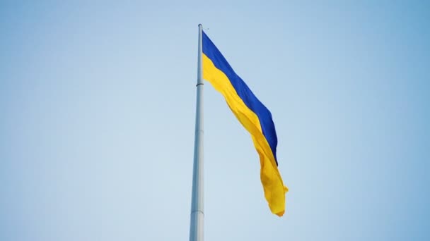 Ukrainian Flag Fluttering Wind — Stock Video