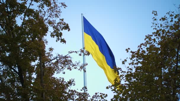 Ukrainian Flag Fluttering Wind — Stock Video