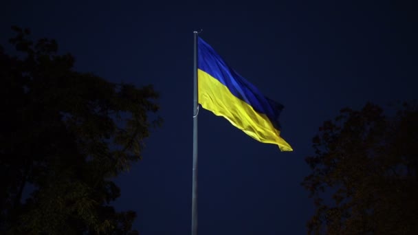 Ukrainian Flag Fluttering Wind — Stock Video