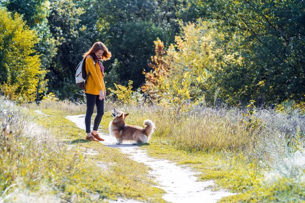 トレーニング 女の子と犬のコーギーはパーの中を歩く — ストック写真