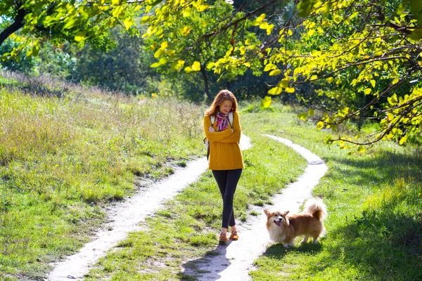 トレーニング 女の子と犬のコーギーはパーの中を歩く — ストック写真