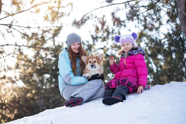 Happy Family Smiling Mother Daughter Little Cute Corgi Fluffy Puppy — Stock Photo, Image