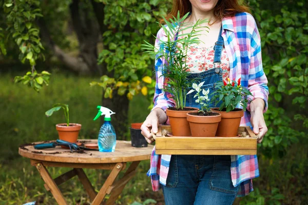 女の子は 庭の花を移植します 植木鉢と Transplantin のための植物 — ストック写真