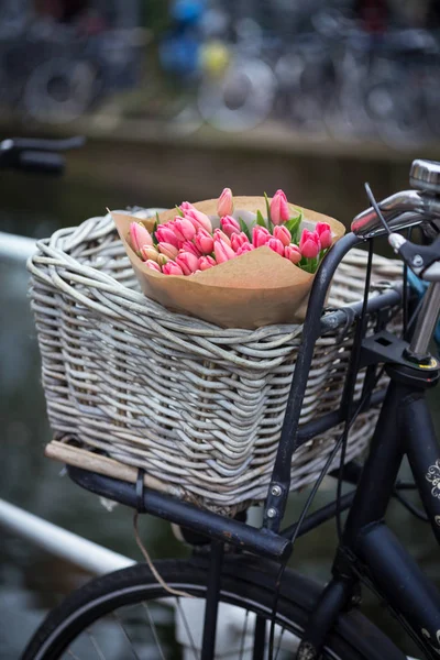 Panier Avec Tulipes Sur Vélo Amsterda — Photo