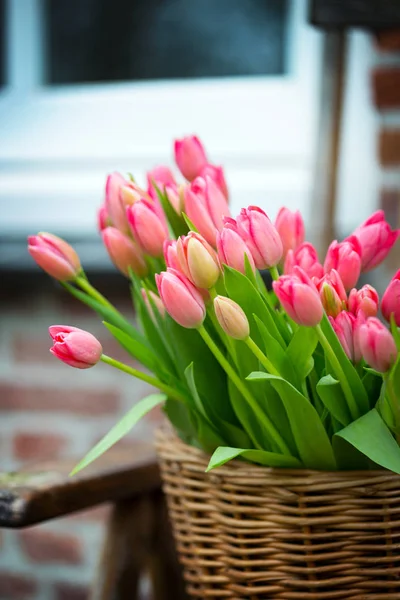 Cesta Con Hermosos Tulipanes Rosados Amsterda — Foto de Stock