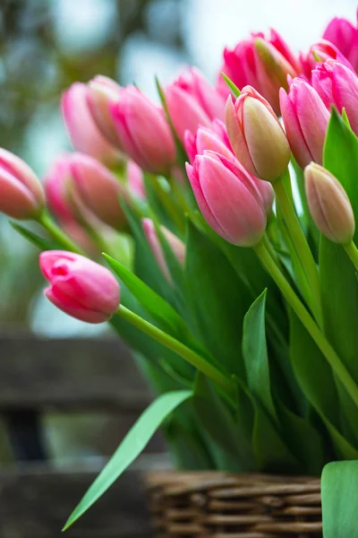 Cesta Con Hermosos Tulipanes Rosados Amsterda — Foto de Stock