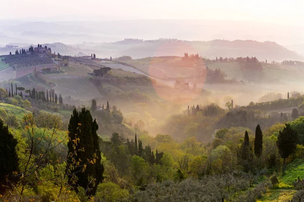 Fog Typical Tuscan Landscape View Villa Hill Cypress Alley Valley — Stock Photo, Image