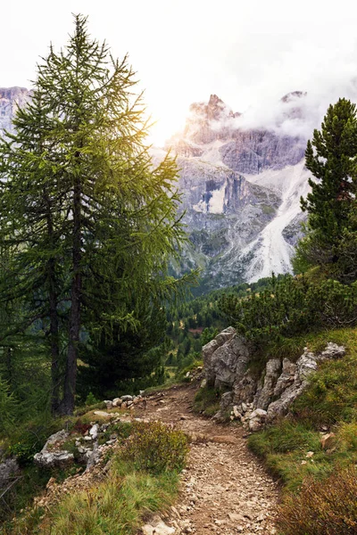 Hiking Trail Dağlarda Dolomites Talya San Martino Castrozz — Stok fotoğraf