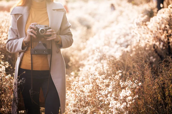 Klasik Sonbahar Klasik Kameralı Bir Kız Gün Batımında Tüylü Karahindiba — Stok fotoğraf