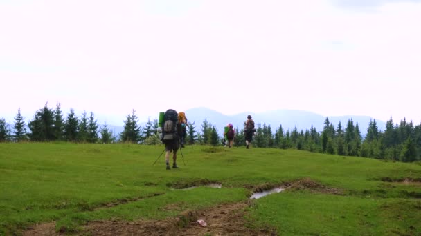 Familia Con Niños Una Caminata Las Montañas — Vídeo de stock