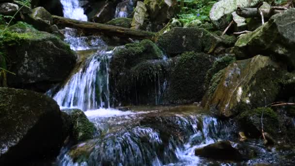 Hermoso Arroyo Montaña Fluye Sobre Rocas Con Musgo Bosque Sombreado — Vídeo de stock