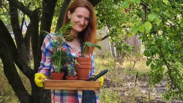 Handen Van Vrouw Planten Van Bloemen Potten Tuin — Stockvideo