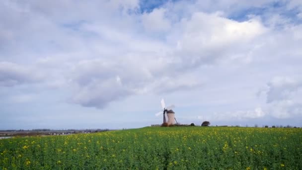 Gammal Normandisk Väderkvarn Fältet Normandie Frankrike — Stockvideo