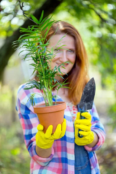 Fille Transplante Des Fleurs Dans Jardin Pots Fleurs Plantes Pour — Photo