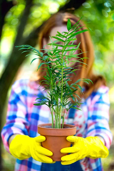 Dívka Školkovány Květiny Zahradě Květináče Rostliny Pro Transplantin — Stock fotografie