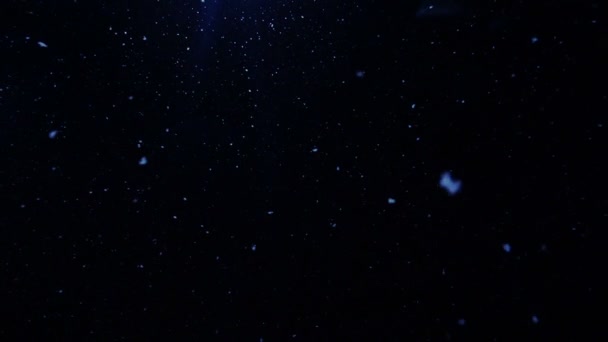 Sneeuwvlokken Vallen Winter Nacht Achtergrond — Stockvideo