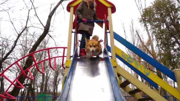 Κορίτσι Σκυλί Που Παίζουν Μια Διαφάνεια Μια Παιδική Χαρά — Αρχείο Βίντεο