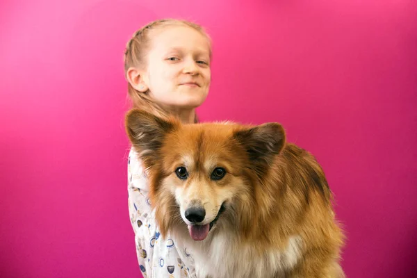 美丽的金发女孩和科尔吉蓬松粉红色的背景 — 图库照片