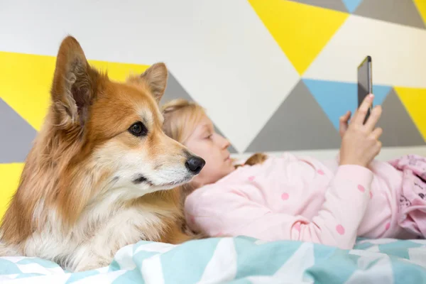 Lustiges Mädchen Und Hundecorgi Auf Dem Bett Kinderzimmer Spielen Auf — Stockfoto