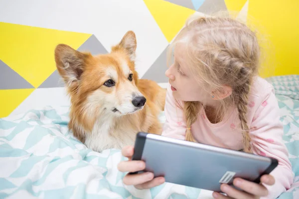 Spaßmädchen Und Hundecorgi Auf Dem Bett Kinderzimmer Spielen Auf Dem — Stockfoto