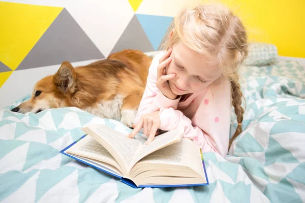 Lustiges Mädchen Und Hundecorgi Auf Dem Bett Kinderzimmer Das Ein — Stockfoto