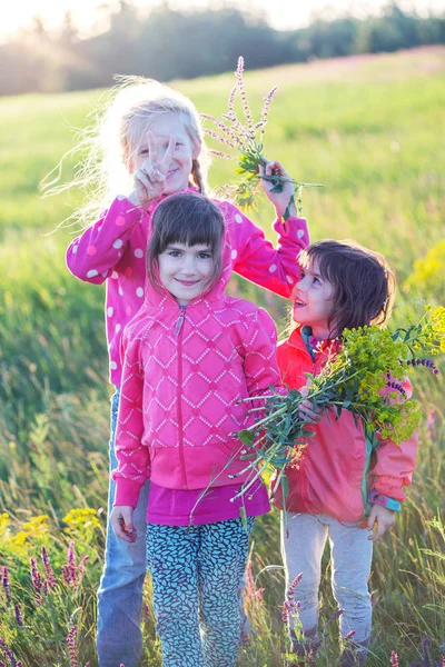Little Smiling Girls Girlfriends Meadow Sage Children Holiday — Stock Photo, Image